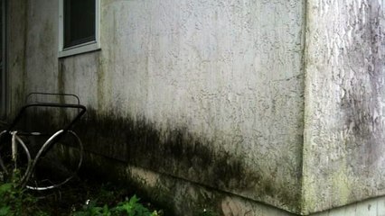 Water Damage Removal Polk City FL - 407-218-5862