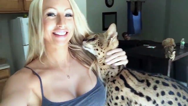 Кошечка говоришь красивая) А чего на сиськи пялишься?)))