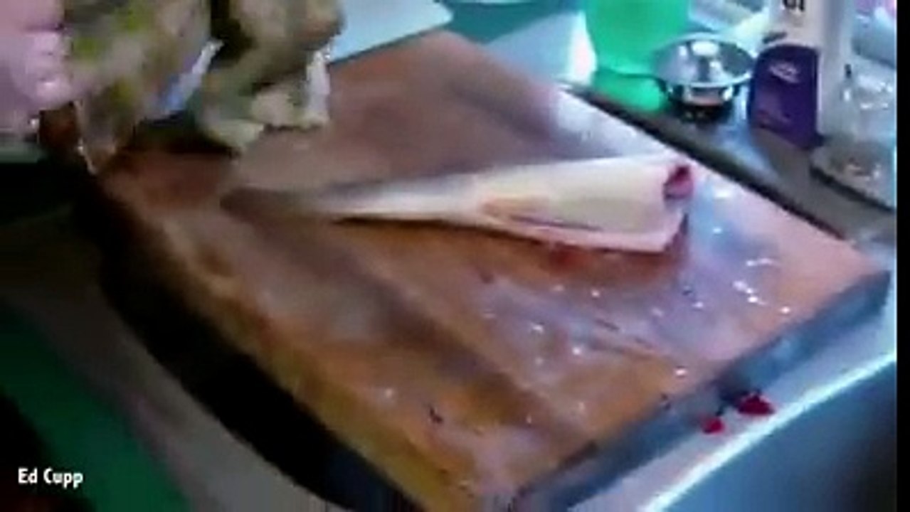 odd fish سمكة غريبة