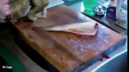 odd fish سمكة غريبة