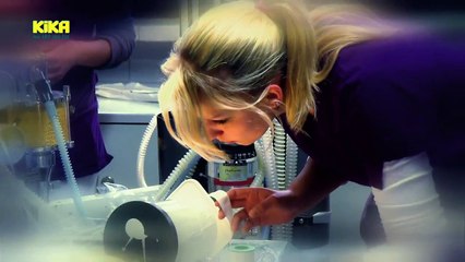 Dein Traumjob - Tierarzt!