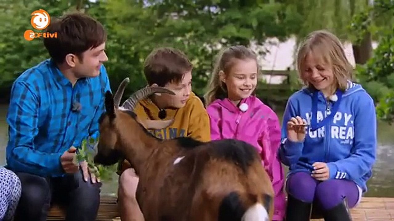 Das Haustiercamp - Folge 6