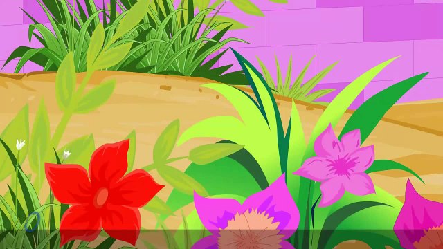 Top 50 Hit Songs | 50+ Mins | Popular Collection Of Animated English Nursery Rhymes in HD