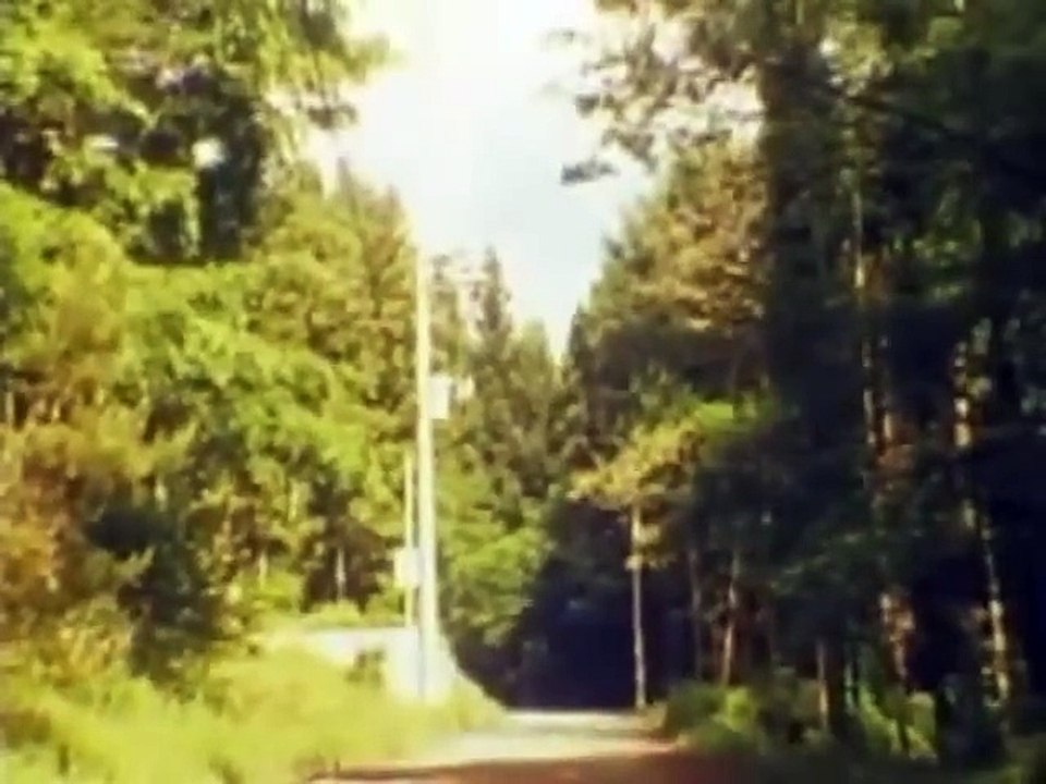 THE BACK HORN - Hanabira (sous-titres français)