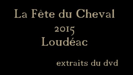 La Fête du cheval Loudéac (22)