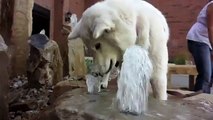 Chien mange eau. Drôle chien mord fontaine