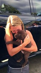 Man Proposes To Girlfriend With Puppy And It's Ridiculously Cute