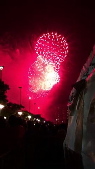 SG50 Fireworks