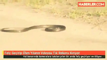 KALP KRİZİ GEÇİREN YILAN'IN CAN VERİŞ ANLARI