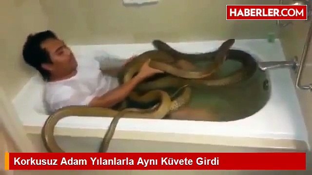 Korkusuz Adam Dev Yılanlarla Aynı Küvete Girdi O İlginç Anlar Kameradaydı!