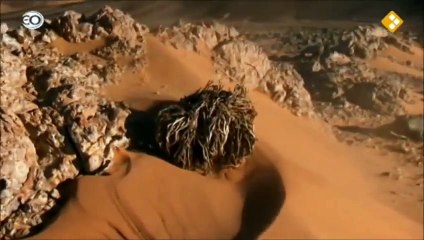 eo natuurfilm africa 'De Sahara' deel 2