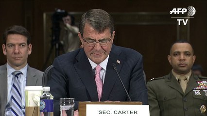 Washington appelle ses alliés à durcir ses efforts contre l'EI
