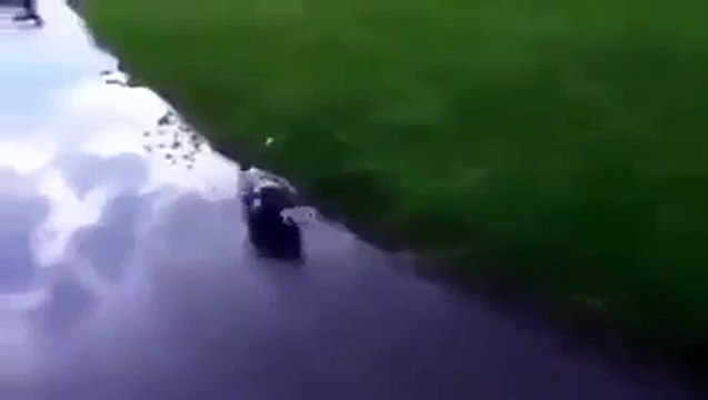 Ajeeb o Ghareeb Janwar