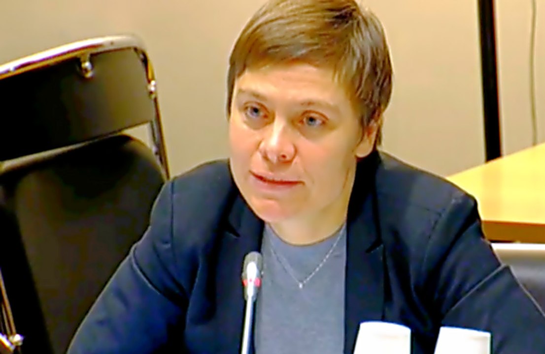 Mon intervention pendant l'audition de Matthias Fekl