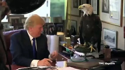 Donald Trump attacked by bald eagle named Uncle Sam