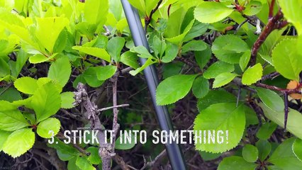 7 selfie stick hacks for your travel video
