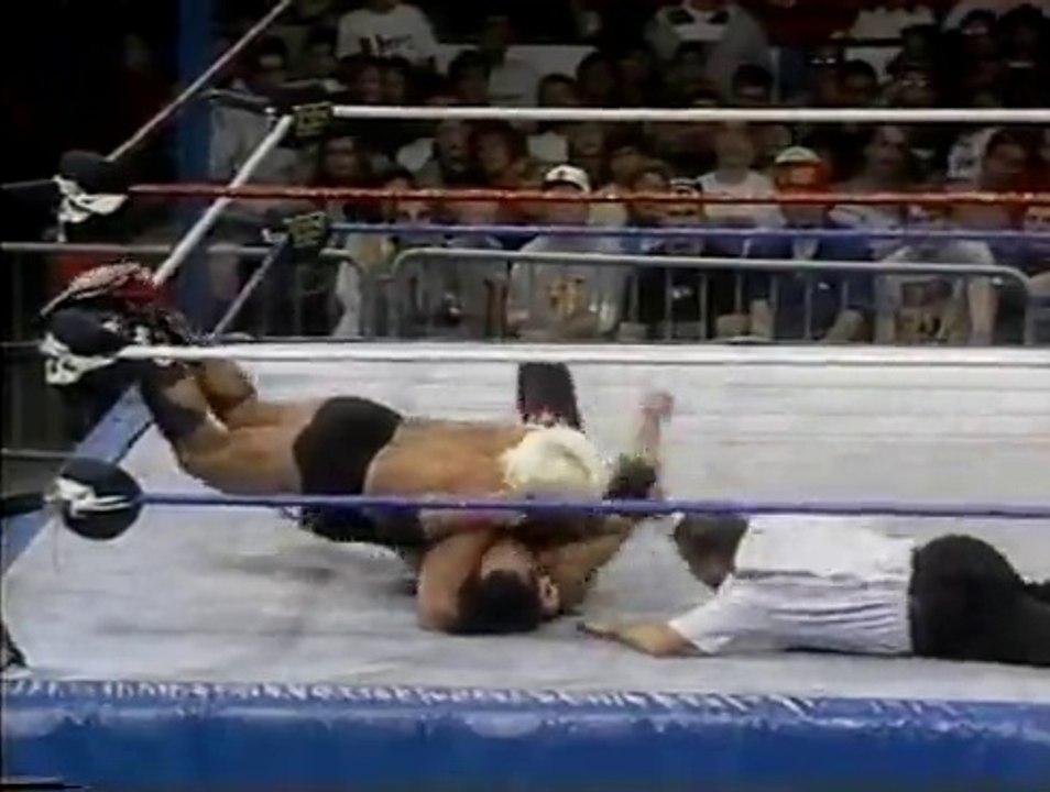 Hart vs Flair