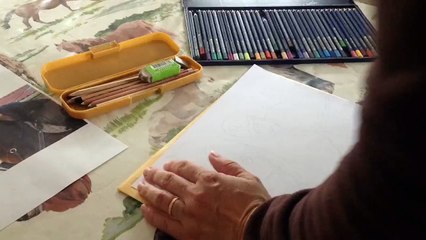 laura et son cheval aux crayons