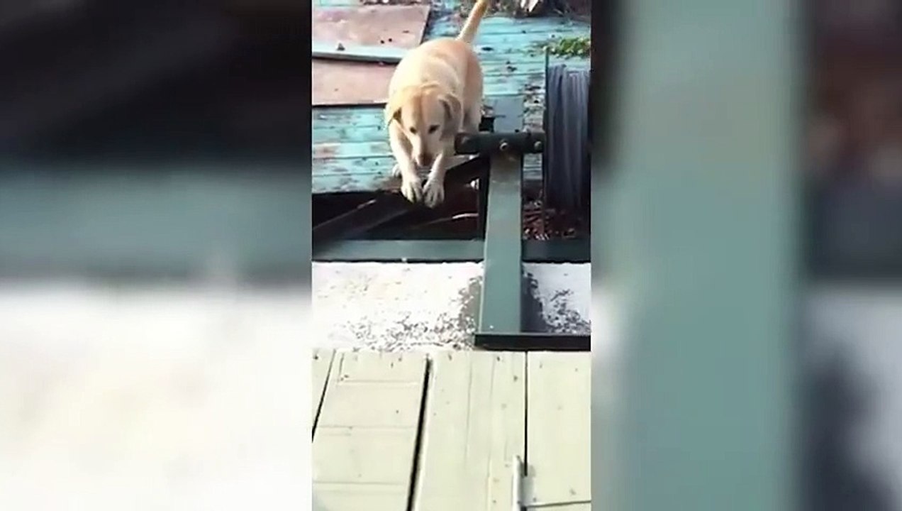 fails_13