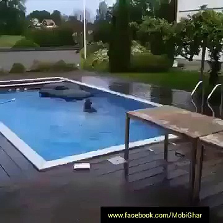 swiming pol funny