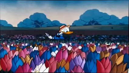 Disney Classic Cartoons | HOT Cartoon Disney - MICKEY MOUSE & DONALD DUCK - Funny Cartoon Farting !!!
