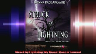 Struck by Lightning My Breast Cancer Journal