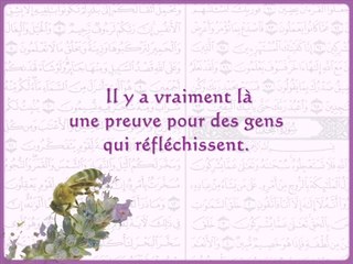 Coran Sourate 16 "Les Abeilles"