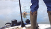 Sauvetage d'un chien coincé dans l'eau gelée de la Volga