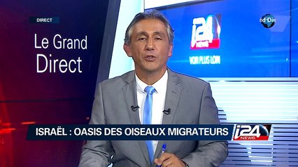 Israel: Oasis des oiseaux migrateurs