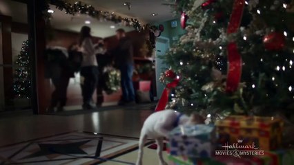 Debbie Macomber’s Dashing Through the Snow – Premiers December 13th 9/8c