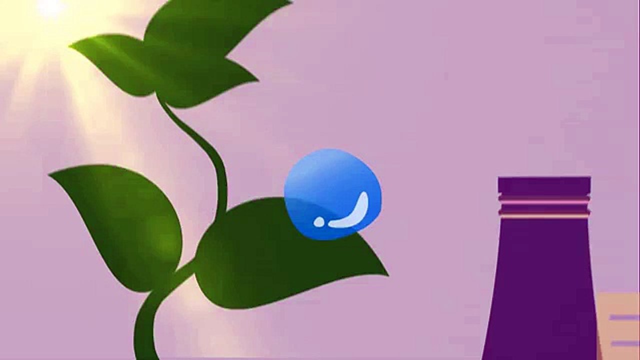 A Fan Made Video - Dreamwallets