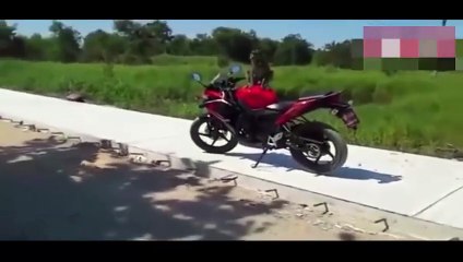 Un homme se fait ridiculiser par un singe qui lui a volé sa moto