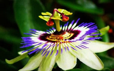 미아오피≪udaiso02.cＯm≫무료쿠폰＂3행시event＂광명오피Θ안산오피ヨ일산오피