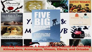 Read  Five Big Mountains A Regular Guys Guide to Climbing Kilimanjaro Aconcagua Vinson Elbrus Ebook Free