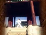 Taekwondo Poomsae Taegeuk 5 ( WTF ) تايجوك أوه جانغ الفحص 5 إعداد المدرب زياد حمشو