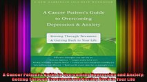 A Cancer Patients Guide to Overcoming Depression and Anxiety Getting Through Treatment