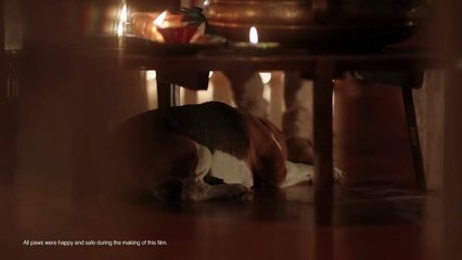 "..This Sweet Video Talks About A Very - Yeh Diwali Ho.. - GVP.."