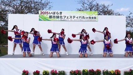 2015/10/3 水戸商業高等学校チアダンス部ブルートゥインクルズ 3/4