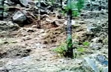 (toba toba )pashto funny