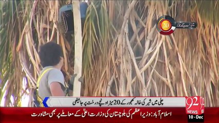 92Seconds – 10 Dec 15 - 92 News HD