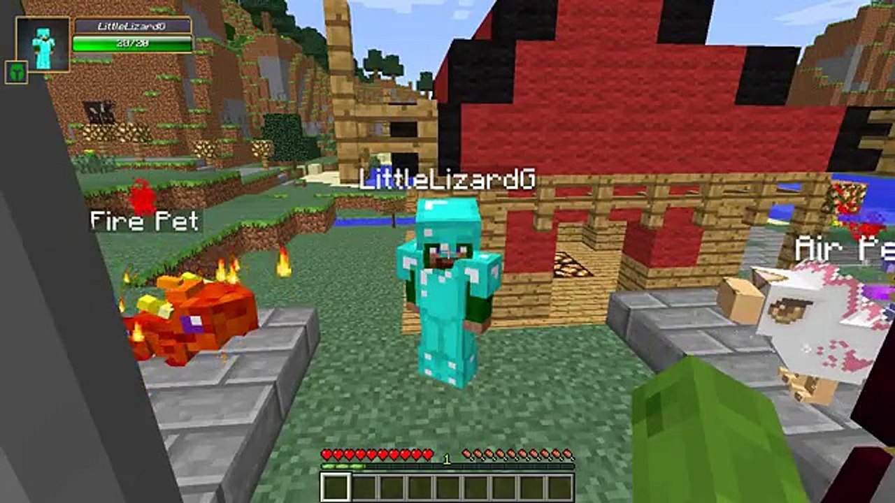Minecraft School : MAGICAL PETS!