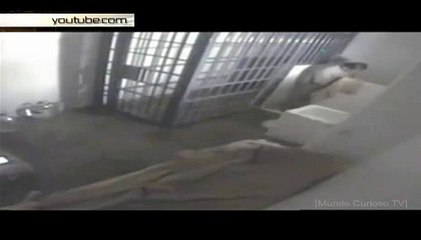 Мексиканский наркобарон «Коротышка» объявил войну ИГИЛ