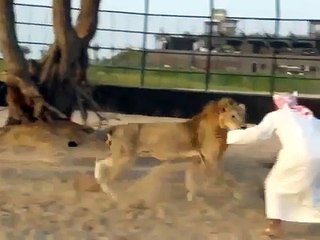 Arab man Rides Lion like Donky - Video Dailymotion