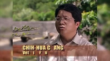 Lion attacks man - Unstable Man Jumps into Zoo’s Lion Exhibit - Video Dailymotion