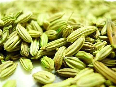 SONF (FENNEL SEED) , HEALTH EDUCATION , INFECTION CONTROL (ICSP) , URDU HINDI