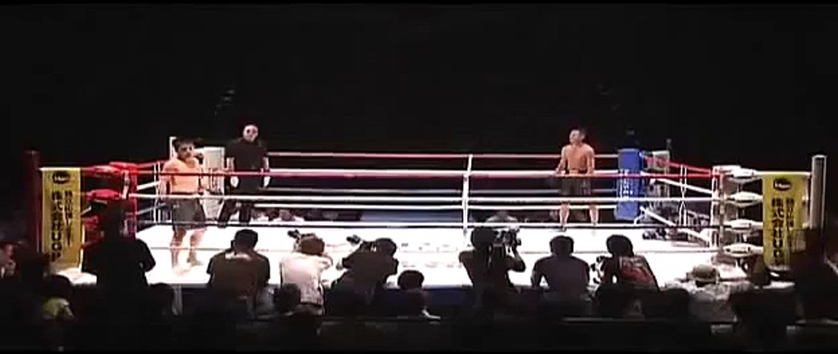 Fastest MMA Knockout Ever