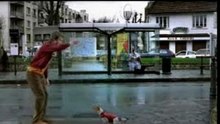 kick the dog