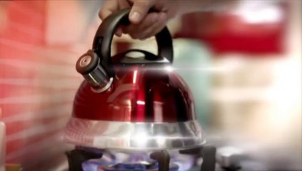 Tapal Danedar - Tum, Mein aur Aik Cup Chai TVC 2015 Featuring Fawad Khan & Moomal Shaikh