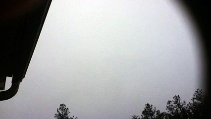 z57 presents What's in the Woods?