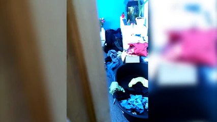 Call someone to get up Essential utensils Laser Pointer Fun